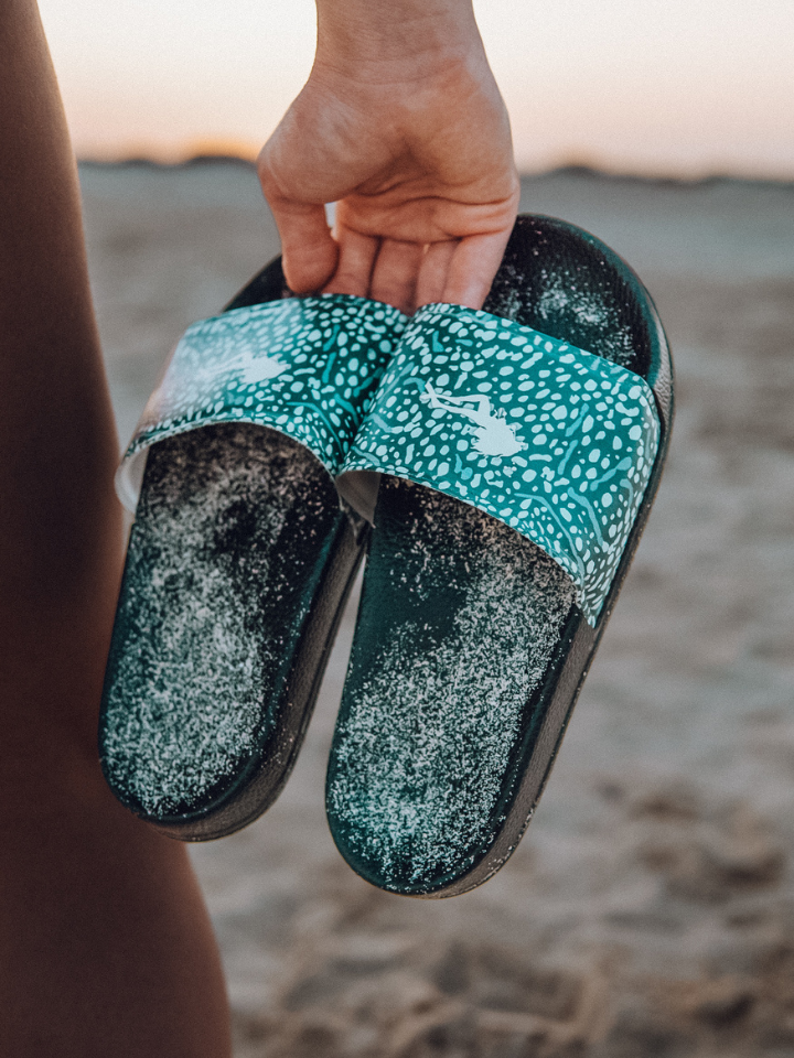 Whale Shark slides