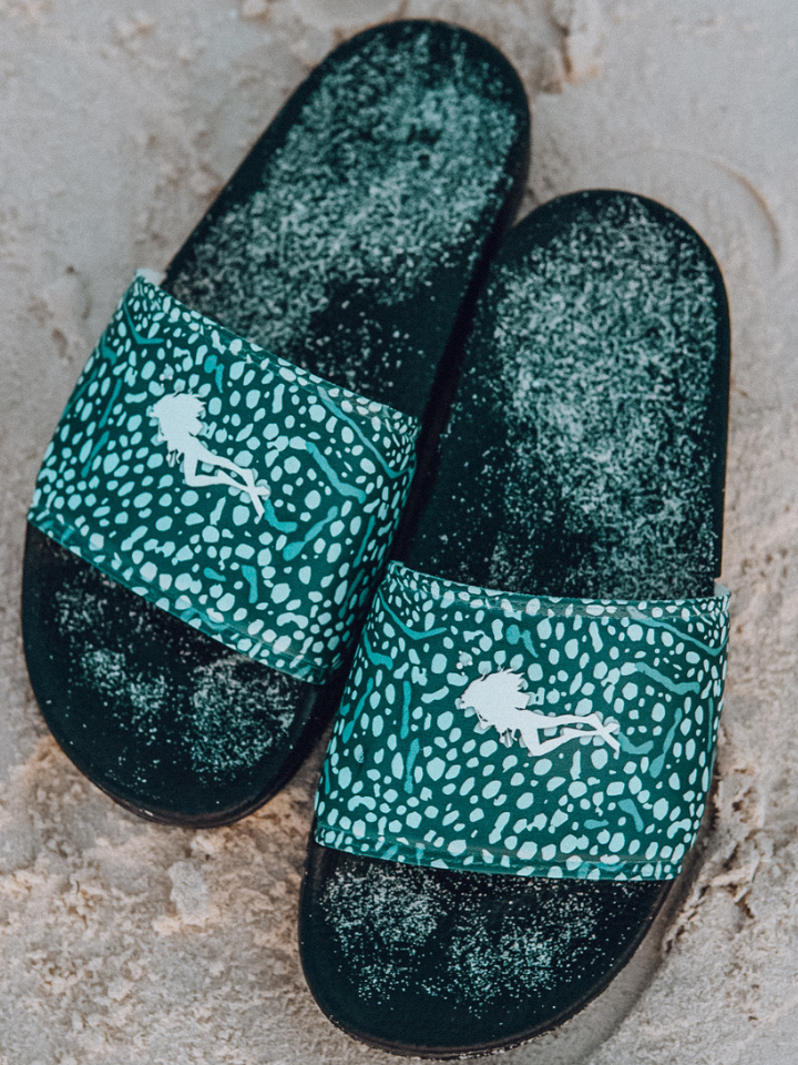 Whale Shark slides