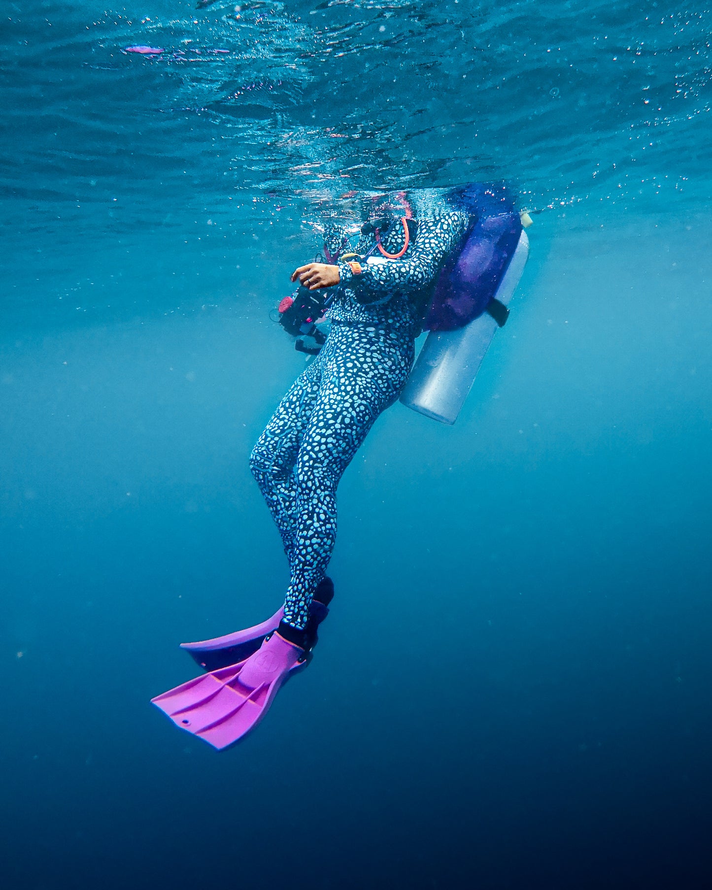 Whale Shark Dive Leggings - Divewear Collection