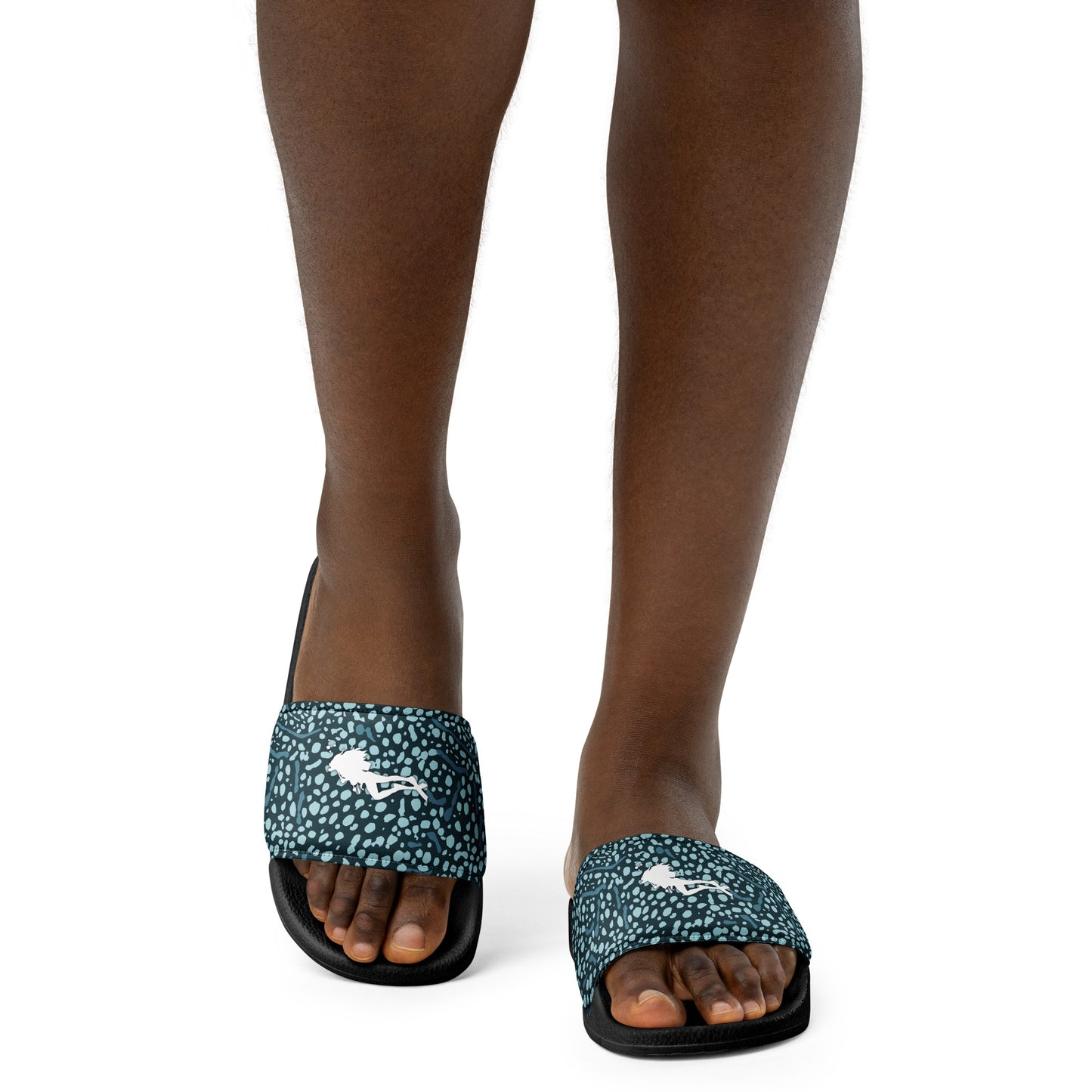 Whale Shark slides