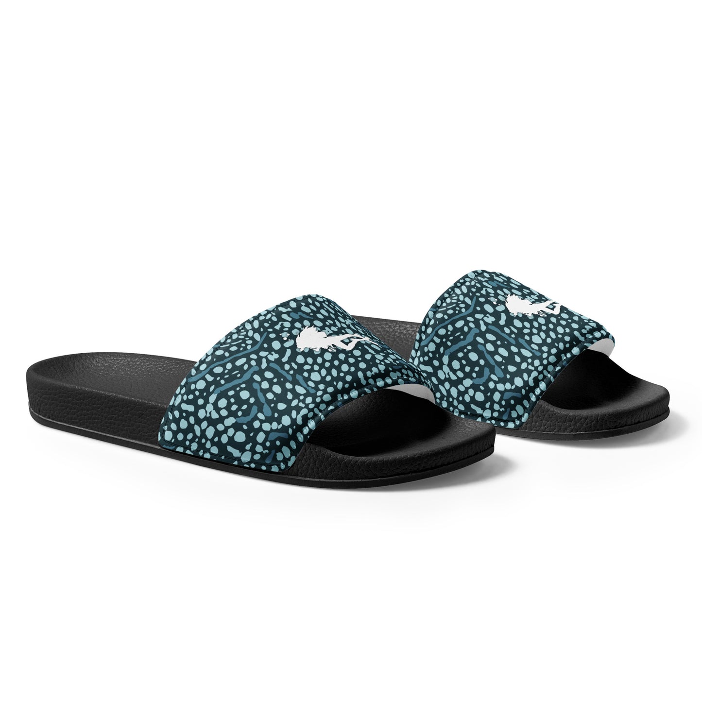 Whale Shark slides