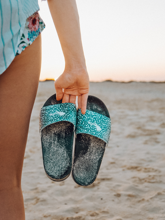 Whale Shark slides