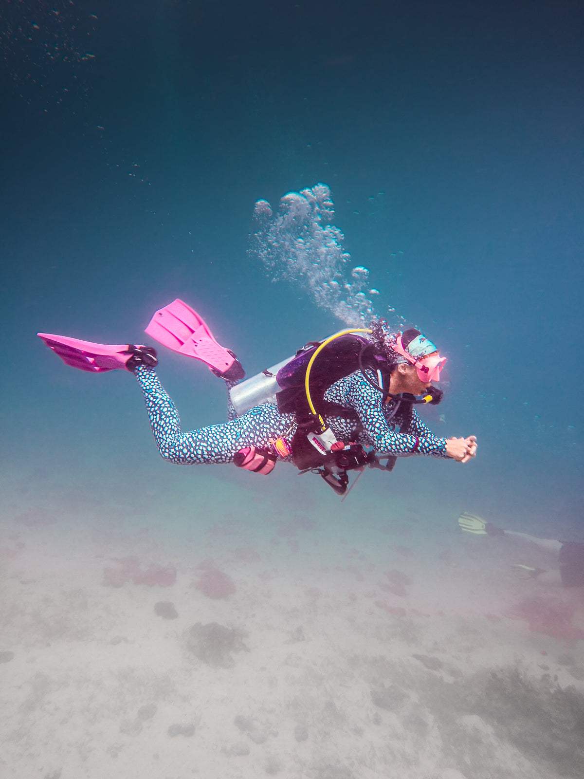 Whale Shark Girls that Scuba Rashie - Divewear Collection
